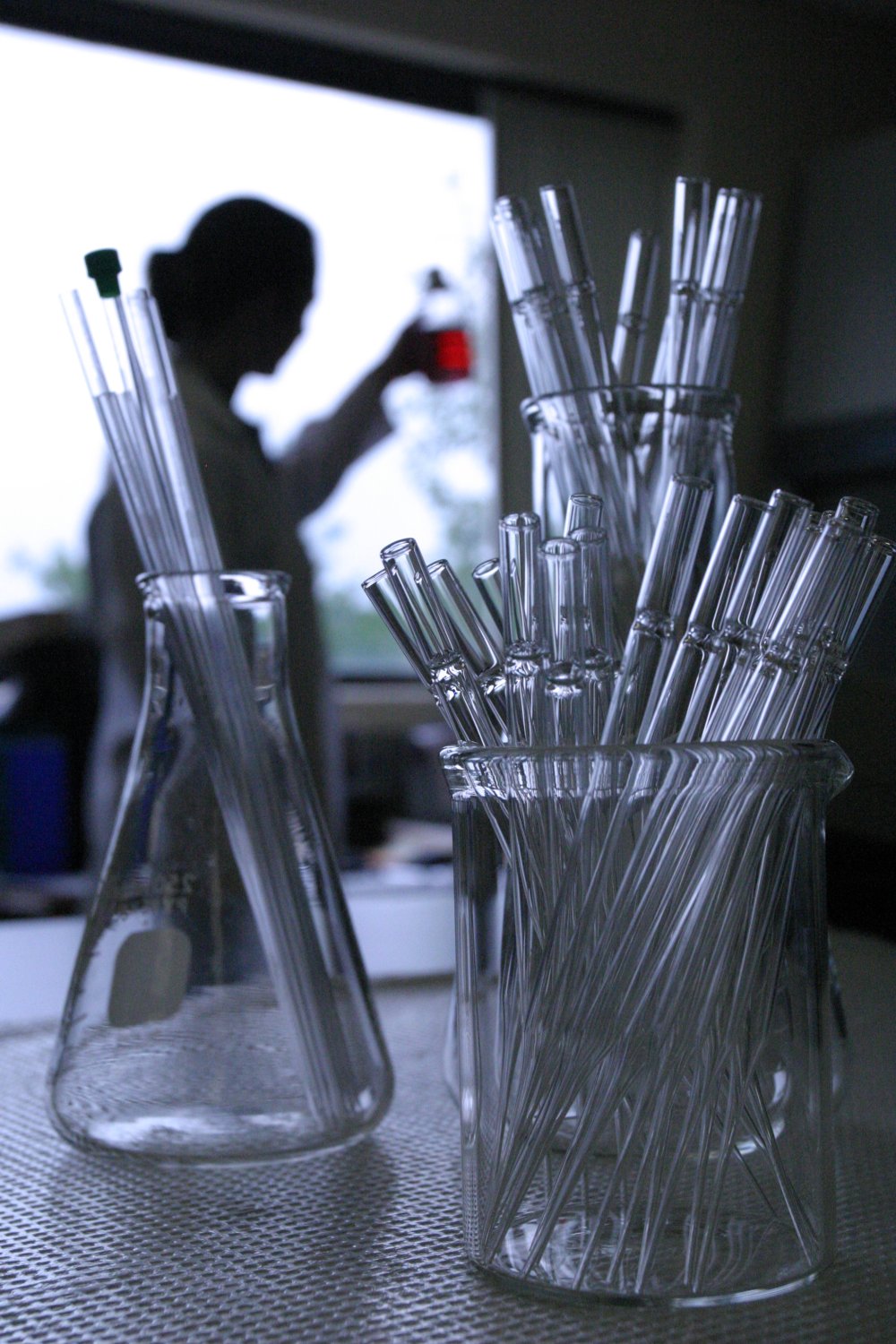 Labs