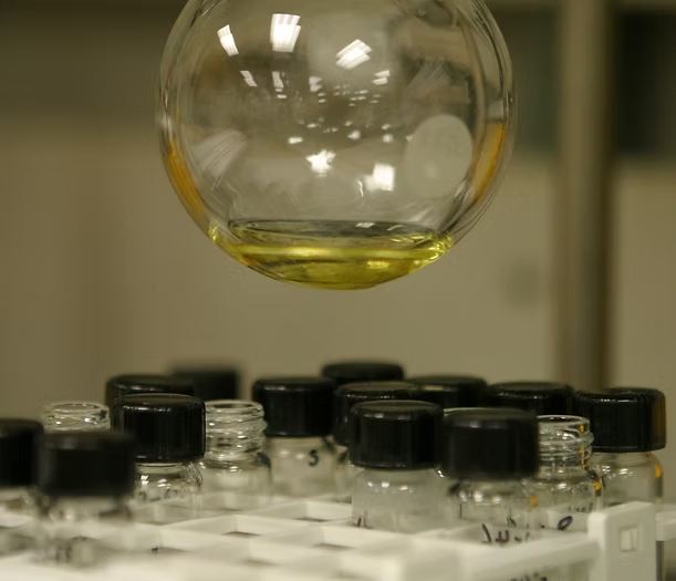Labs