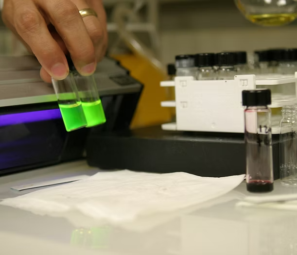 Labs