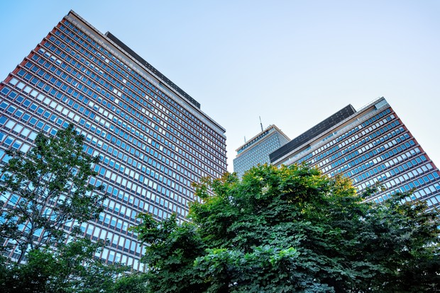 Glass office towers seen from below, a tree in the foreground.